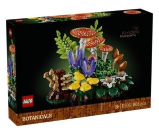 LEGO Botanicals 11505 — Grzyby leśne